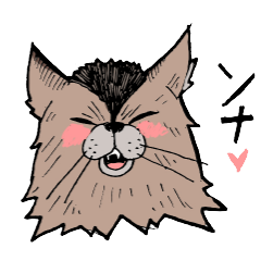 [LINEスタンプ] ソマリ 猫の日スタンプ