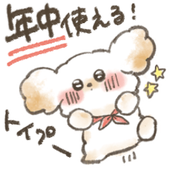 [LINEスタンプ] トイプーのランくん！年中使えるスタンプ