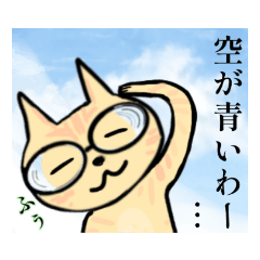 [LINEスタンプ] 強度近眼メガネ猫