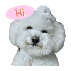 [LINEスタンプ] わらび婆ちゃん