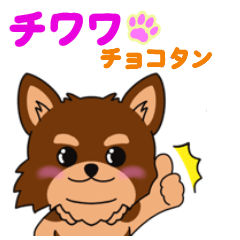 [LINEスタンプ] チョコタンチワワちゃんのご挨拶