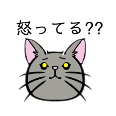 [LINEスタンプ] 猫キャラ会話(怒ってる？)