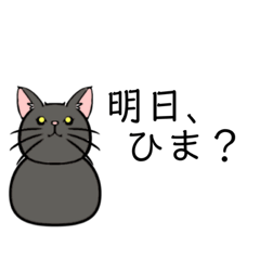 [LINEスタンプ] 猫の会話(明日ひま？)