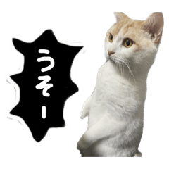 [LINEスタンプ] ジジ.simple