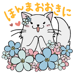 [LINEスタンプ] 関西弁メインクーン【日常編】