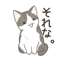 [LINEスタンプ] きじしろねこのスタンプ