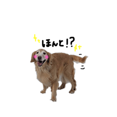 [LINEスタンプ] るかちゃま2