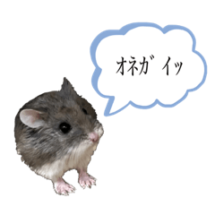 [LINEスタンプ] 齧歯類と時々私。