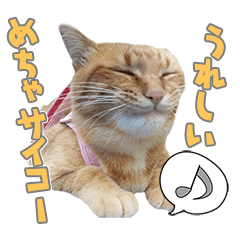 [LINEスタンプ] かいたんたんたん 2023.02.17