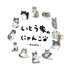 [LINEスタンプ] イトウ家のにゃんこ