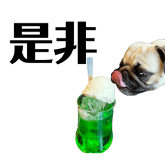 [LINEスタンプ] パグ犬きなこ3