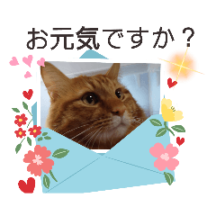 [LINEスタンプ] たわなつ6