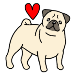 [LINEスタンプ] 犬種別パグ(フォーン×英語Ver)