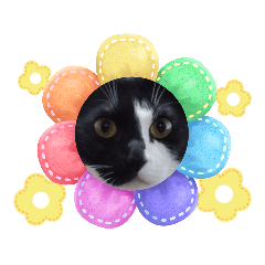 [LINEスタンプ] ルルコタ日常