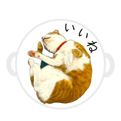 [LINEスタンプ] 福猫 福ちゃん 福だらけ