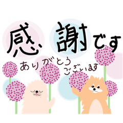 [LINEスタンプ] ポメラニアンの便利な日常＆敬語