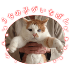 [LINEスタンプ] BIG_LOVE