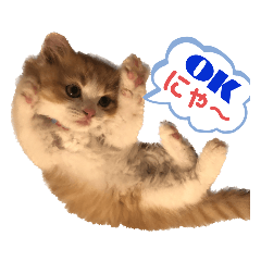 [LINEスタンプ] にゃんこ哲太の仲間たち2
