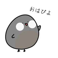 [LINEスタンプ] ゆるい文鳥