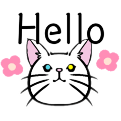 [LINEスタンプ] 猫の会話(English①)