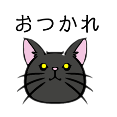 [LINEスタンプ] 猫の会話(黒猫1①)