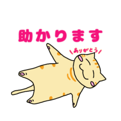 [LINEスタンプ] 大人が日常使える猫の日スタンプまーにゃん