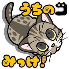 [LINEスタンプ] うちの猫(コ)みっけ！