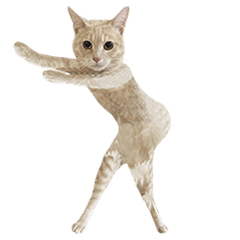 [LINEスタンプ] 踊る猫 コムギ姫