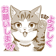 [LINEスタンプ] 我輩は猫魔導師である