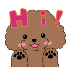 [LINEスタンプ] トイプードルがいっぱいスタンプ♪