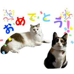 [LINEスタンプ] ★毎日使える★ふくりんスタンプ