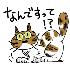 [LINEスタンプ] 猫の挨拶敬語丁寧会話リアクションスタンプの画像（メイン）