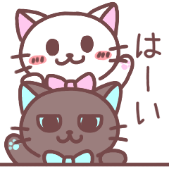 [LINEスタンプ] 動く▶︎仲良し猫ちゃんズ＊猫の日スタンプ