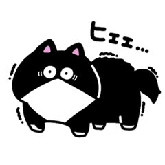 [LINEスタンプ] ハチワレ猫のもちぞうスタンプ