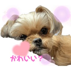 [LINEスタンプ] ここさんまろさん 4