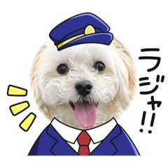 [LINEスタンプ] ぽぽちゃんだよ❤️