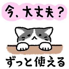 [LINEスタンプ] ずっと使える猫のスタンプ【猫の日記念】