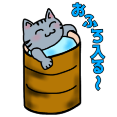 [LINEスタンプ] モフにゃんこの日常スタンプ 【修正版】