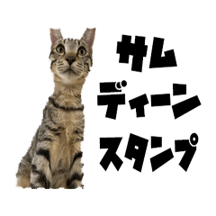 [LINEスタンプ] ココロマン サムディーン