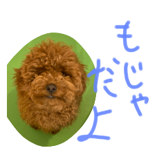 [LINEスタンプ] かわいいもじゃスタンプ
