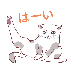 [LINEスタンプ] 王様気質だけど愛らしいお猫様