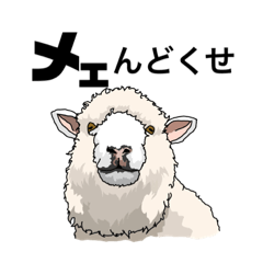 [LINEスタンプ] 羊さん達の日常