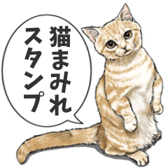 [LINEスタンプ] 猫にまみれたがりのスタンプ4