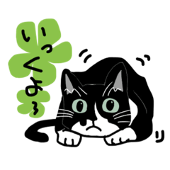 [LINEスタンプ] 白黒猫のりん4