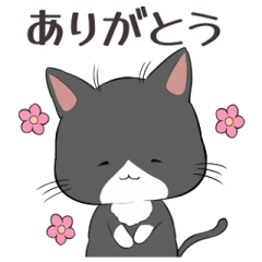 [LINEスタンプ] ハチワレこんぶ