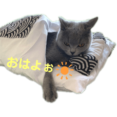 [LINEスタンプ] 癒しのまるちゃんスタンプ