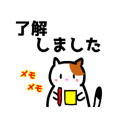 [LINEスタンプ] 毎日、猫いっぱい