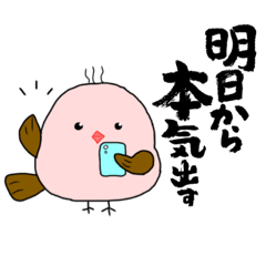 [LINEスタンプ] シマエナガの使いやすいスタンプ