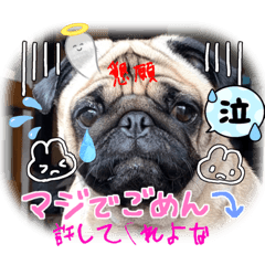 [LINEスタンプ] ワンニャンチュー♪5