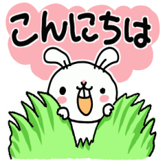 [LINEスタンプ] 白ウサどんの日常あいさつ